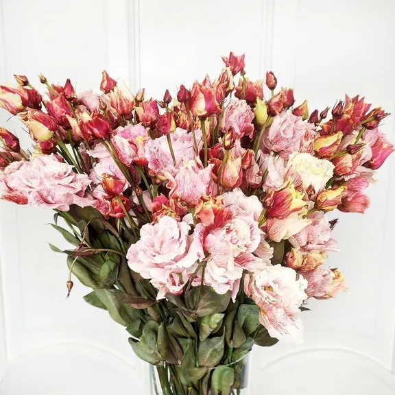 Эустома (лизиантус) микс