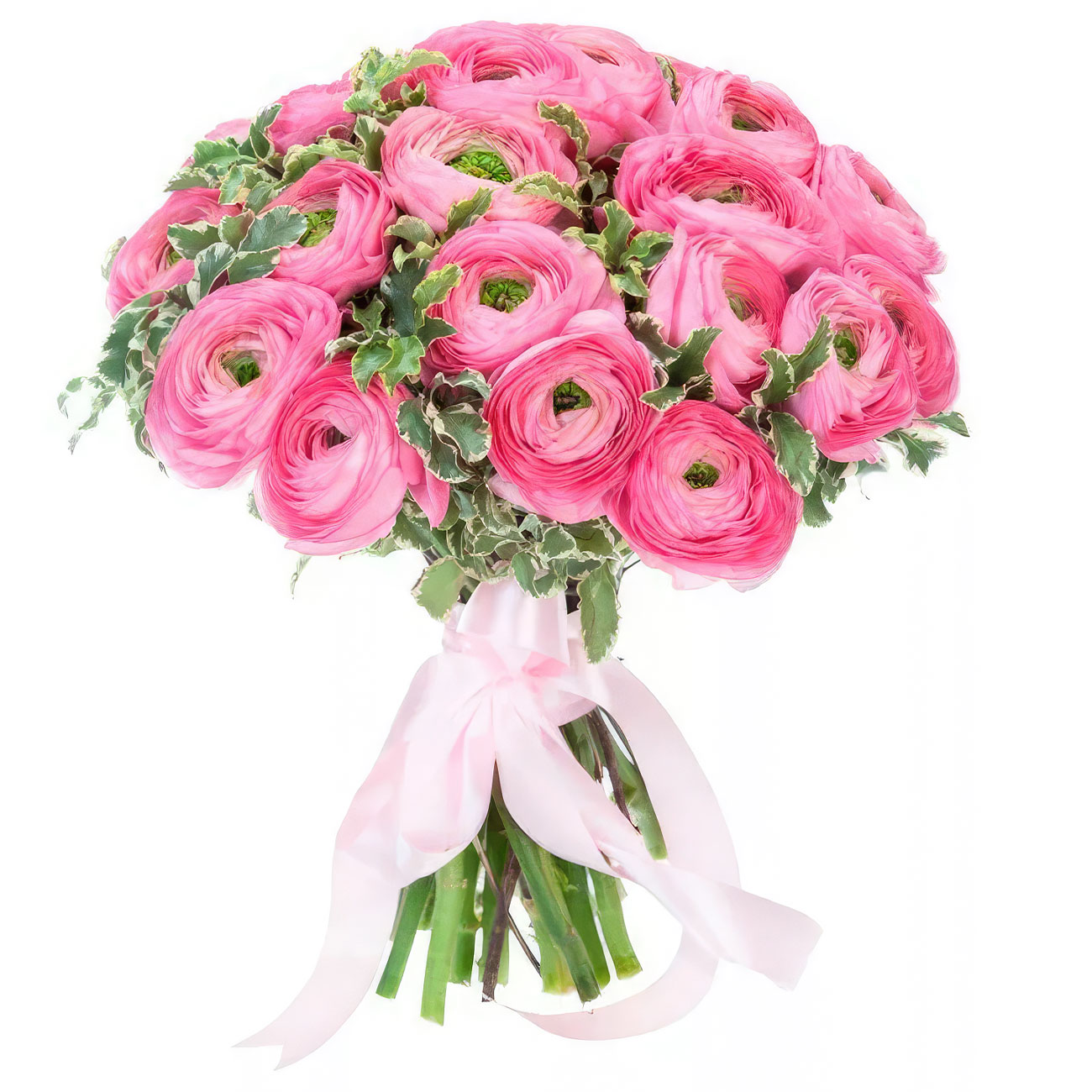 Ранункулюсы в нежной гамме